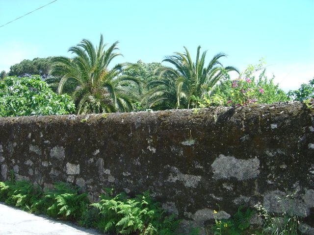 Antiga Quinta do Eng. Cunha-Lima