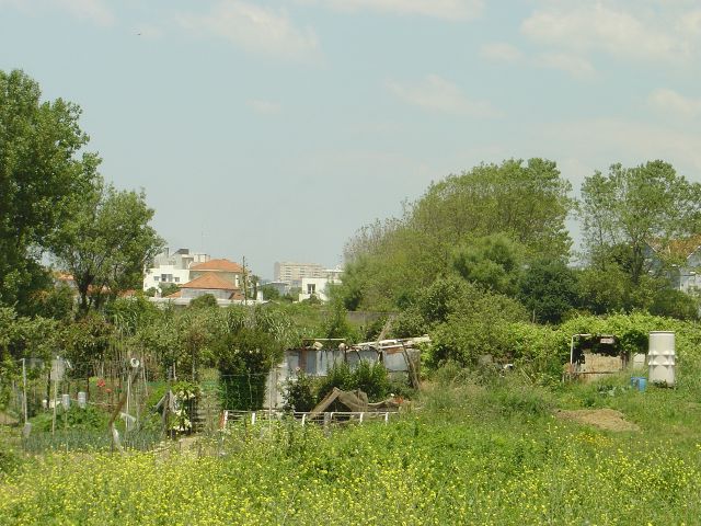 Antigos terrenos agrícolas em Aldoar e Nevogilde