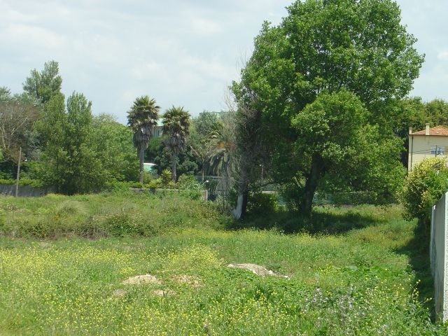 Antigos terrenos agrícolas em Aldoar e Nevogilde