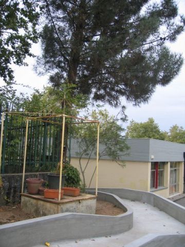Arboreto da Escola EB2 de Canelas