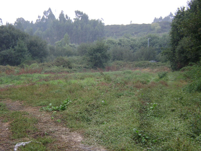 Área adjacente ao Parque Biológico de Gaia
