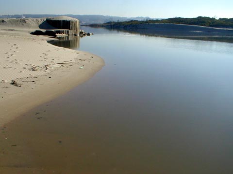 Barrinha de Esmoriz e Lagoa de Paramos