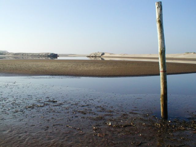 Barrinha de Esmoriz e Lagoa de Paramos