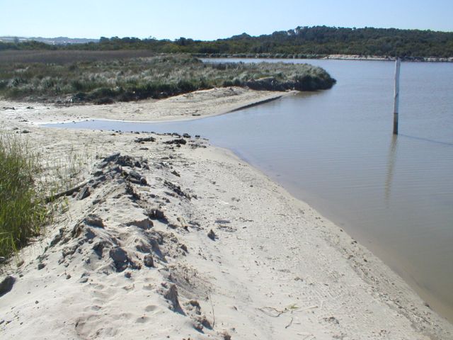 Barrinha de Esmoriz e Lagoa de Paramos