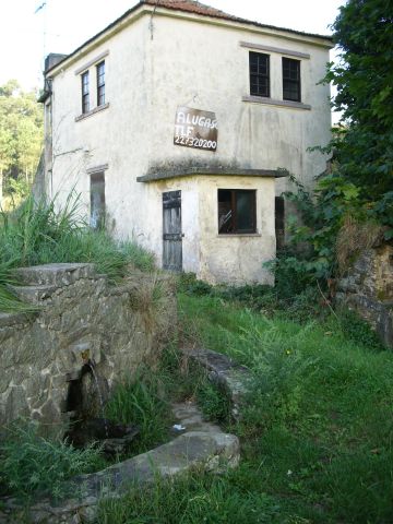 Bicha das Sete Cabeças