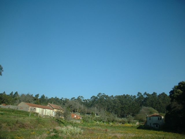 Bicha das Sete Cabeças