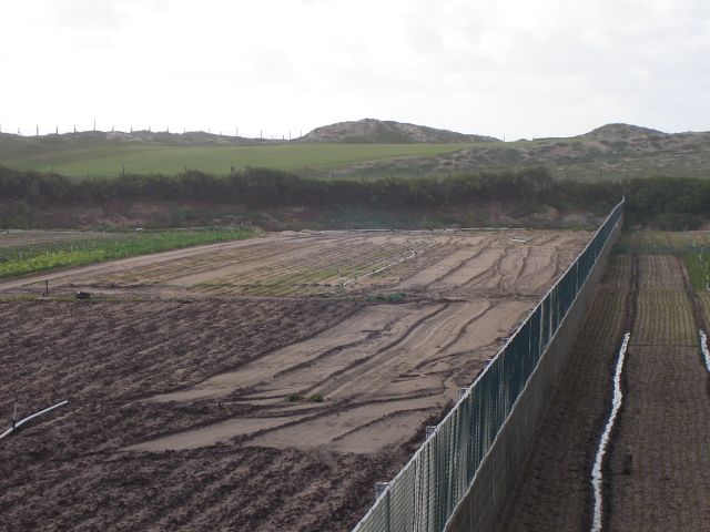 Campos de Masseira