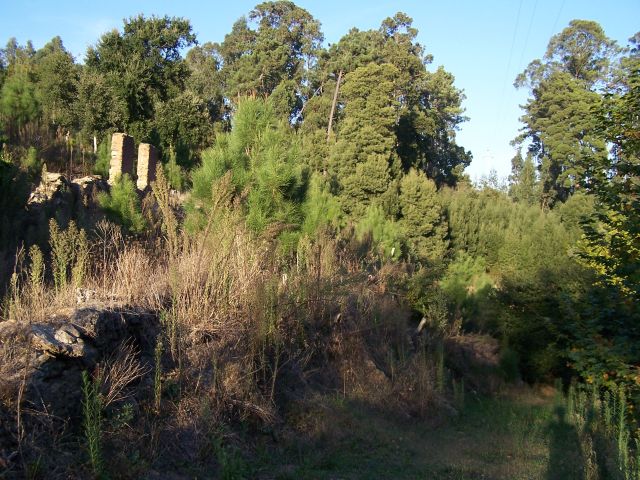Castro de Ovil