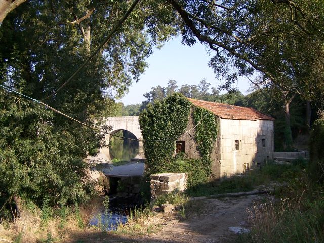Cavadas