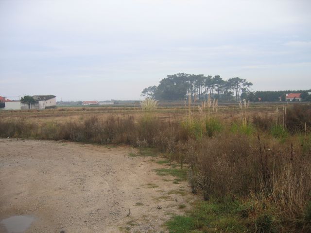 Dunas de Mira