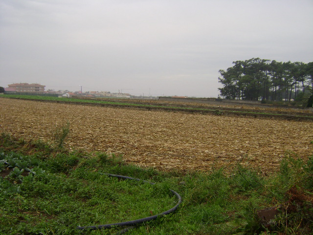 Dunas de Mira