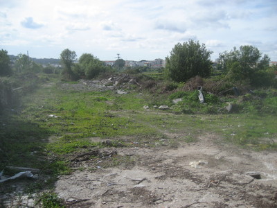 Espaço verde abandonado em S. Mamede de Infesta