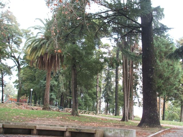 Futuro Parque da Cidade de Rio Tinto