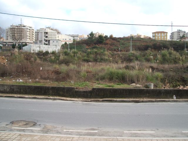 Futuro Parque da Cidade de Rio Tinto