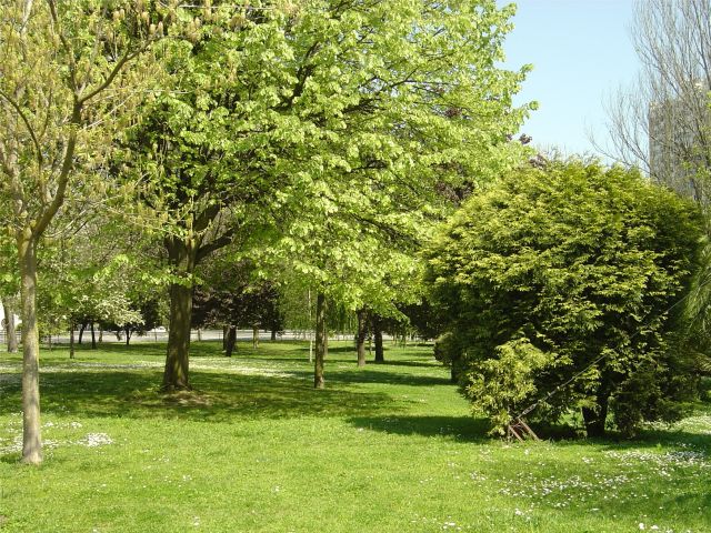 Jardim de Espaço Canal