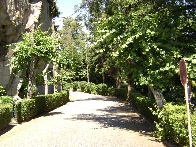 Monte Crasto