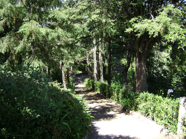 Monte Crasto