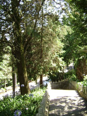 Monte Crasto