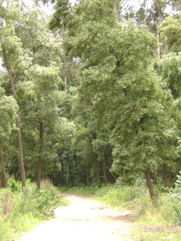 Monte da Pinta
