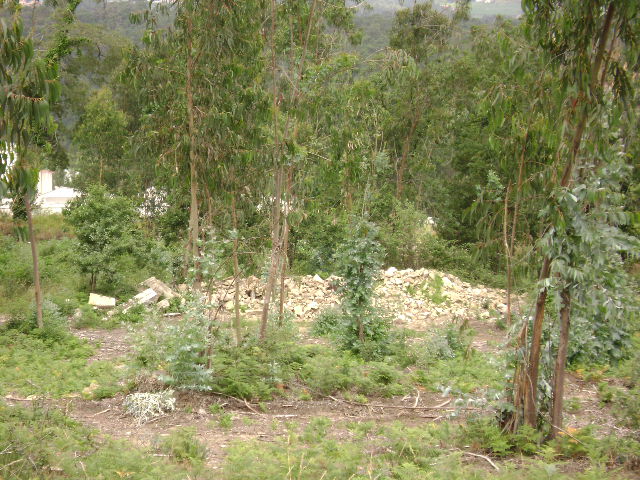 Monte da Pinta