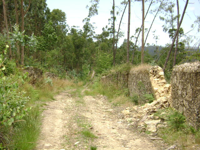 Monte da Pinta