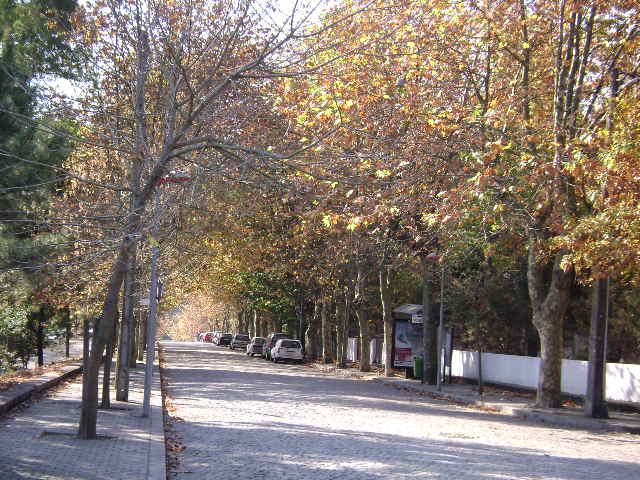 Monte da Virgem