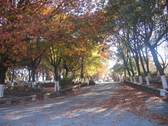Monte da Virgem