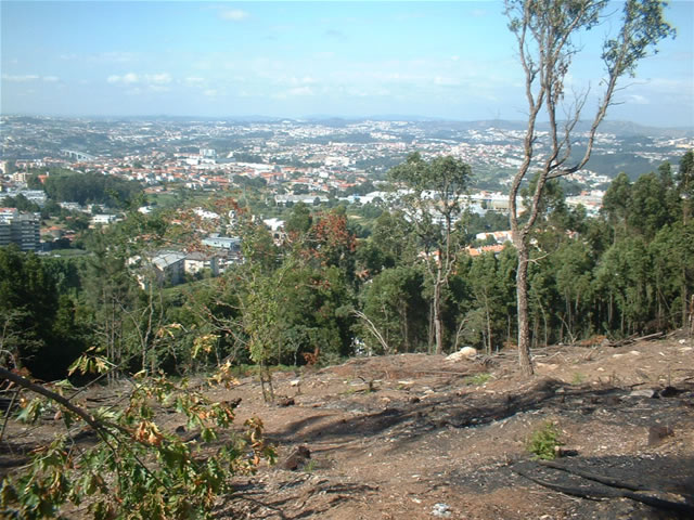 Monte da Virgem
