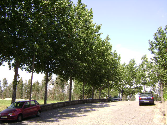 Monte de Santo António
