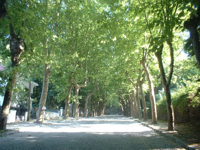 Monte Murado