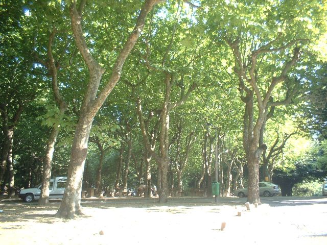 Monte Murado