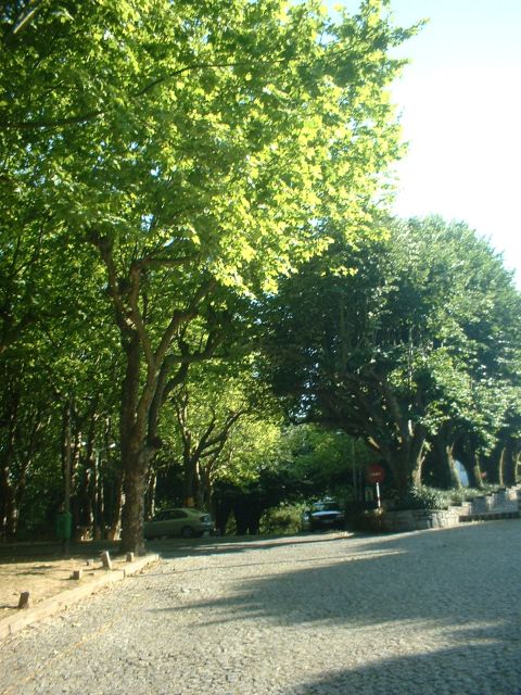 Monte Murado