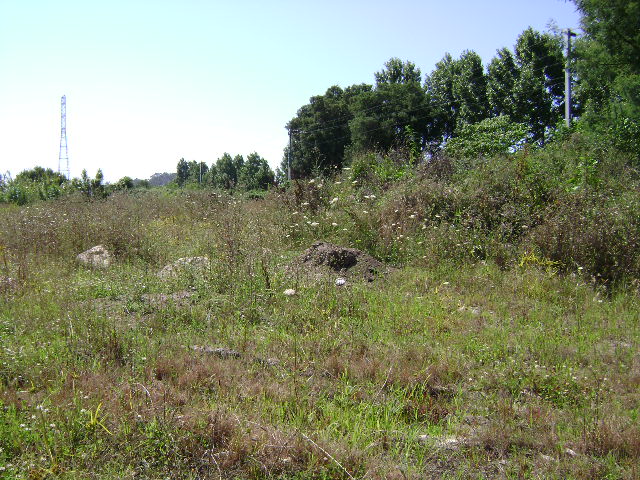Montes Caulinos