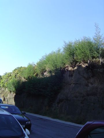 Morro das Mimosas