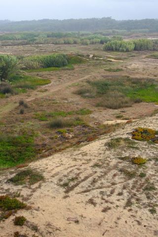 Paisagem Protegida Regional do Litoral de Vila do Conde e Reserva Ornitológica do Mindelo
