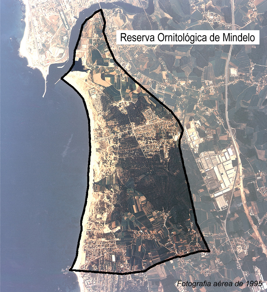 Paisagem Protegida Regional do Litoral de Vila do Conde e Reserva Ornitológica do Mindelo