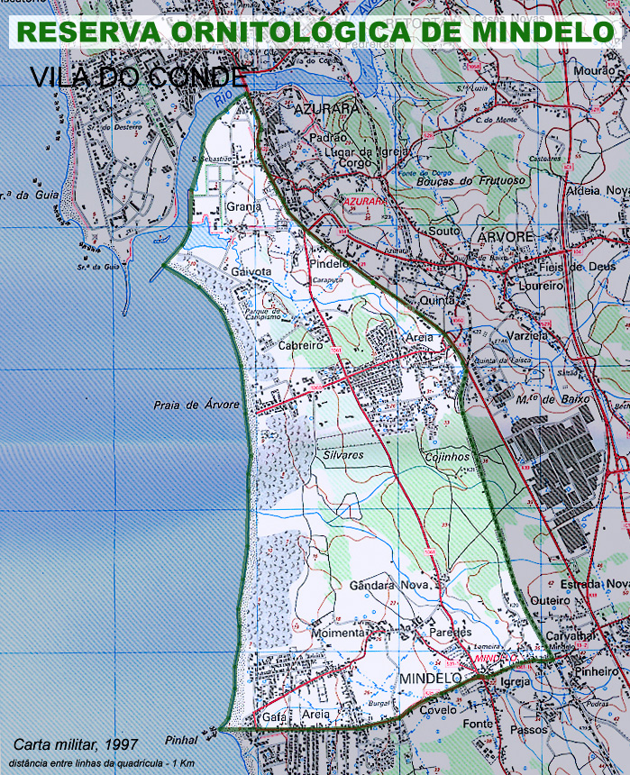Paisagem Protegida Regional do Litoral de Vila do Conde e Reserva Ornitológica do Mindelo