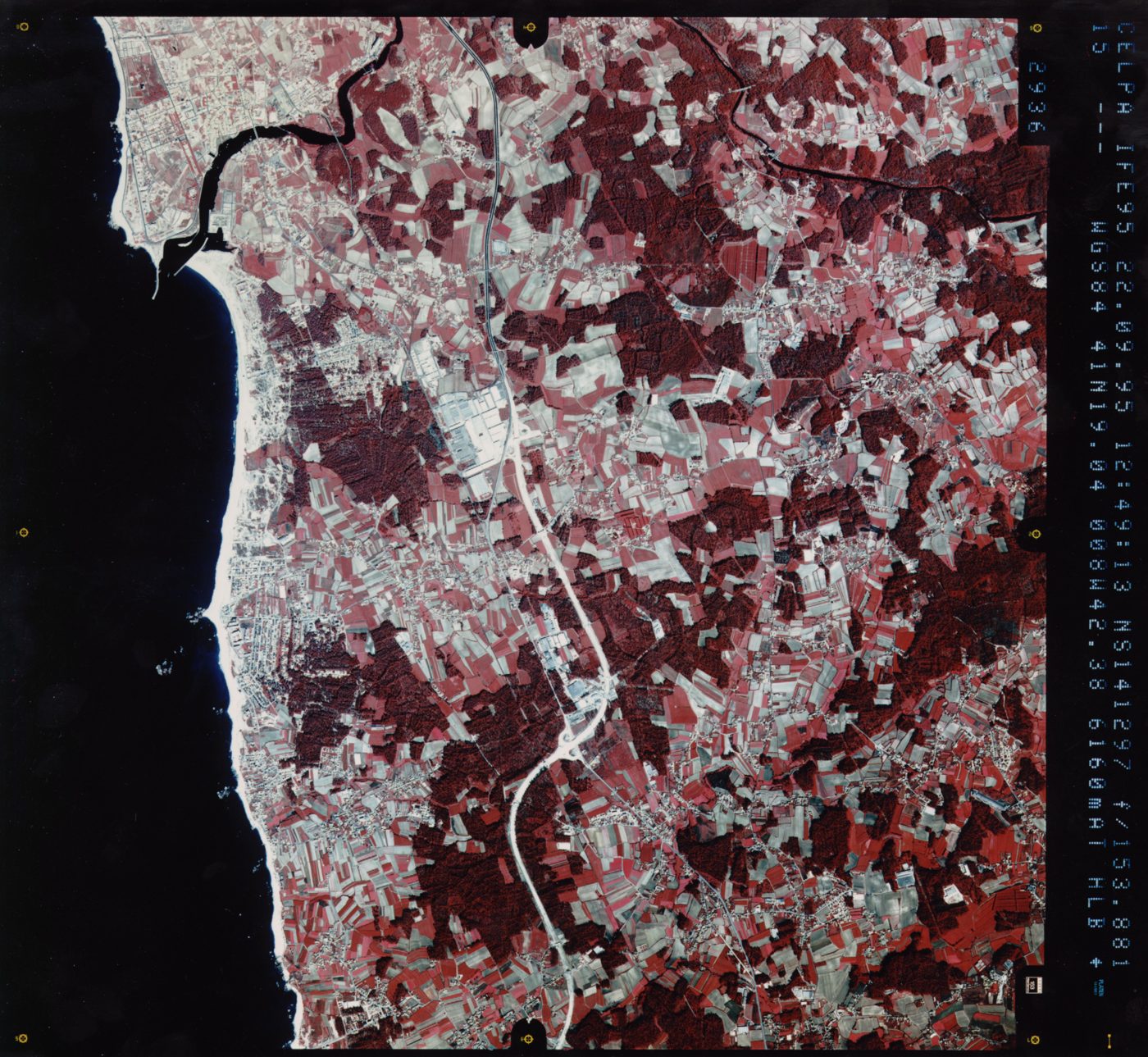 Paisagem Protegida Regional do Litoral de Vila do Conde e Reserva Ornitológica do Mindelo