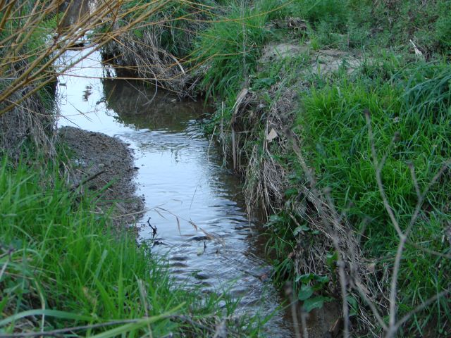Parque Germano Vieira