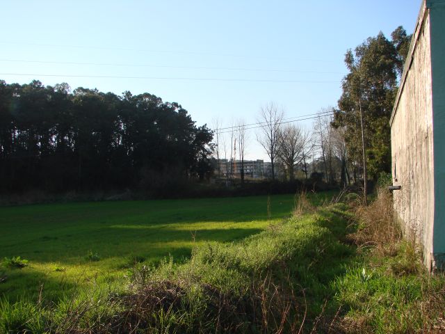 Parque Germano Vieira