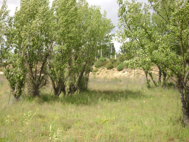 Parque Oriental