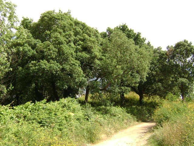 Parque Oriental
