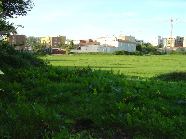 Quinta Antiga Perto da Prelada