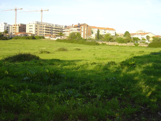Quinta Antiga Perto da Prelada