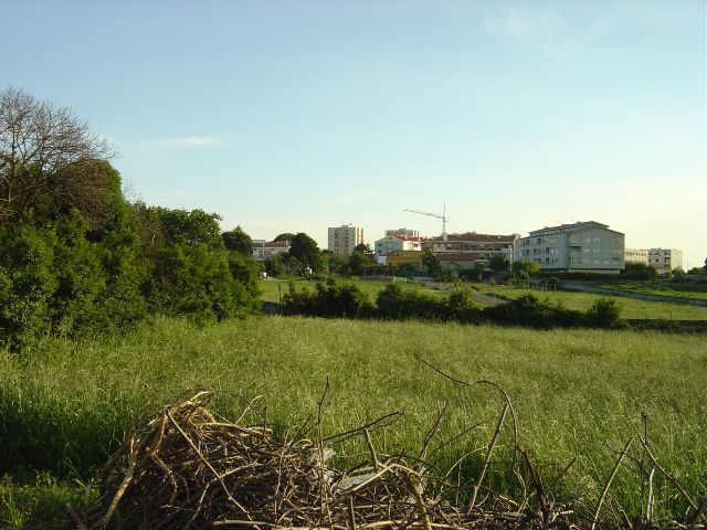 Quinta Antiga Perto da Prelada