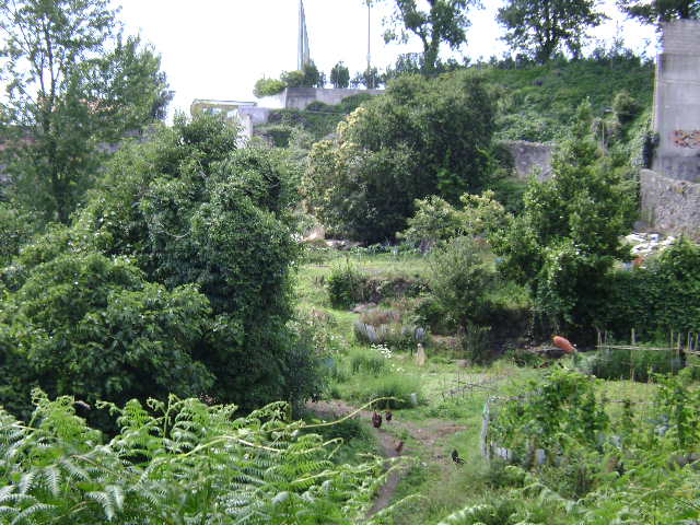Quinta da Bouça