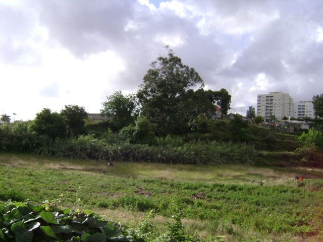 Quinta da Bouça