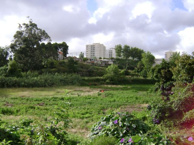 Quinta da Bouça