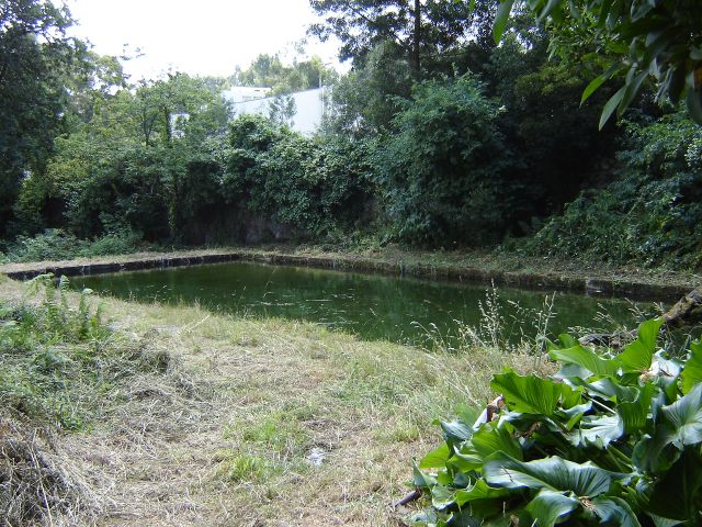 Quinta da Fonte Formosa (ou Quinta da Boucinha)