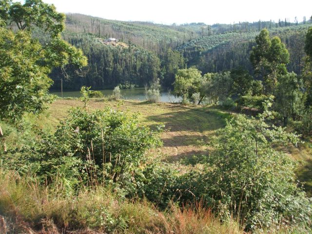 Quinta da Formiga